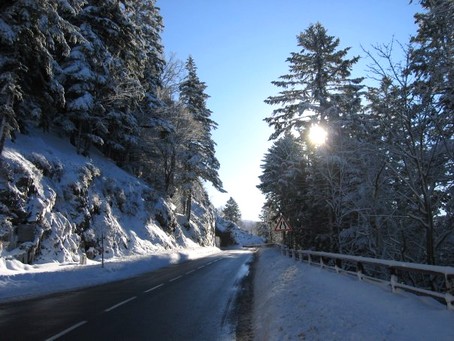 A la "Roche du Diable" en montant au col de la Schlucht - Photo F.GUYOT